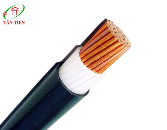 Dây cáp điện CVV 2.0 Cadivi 