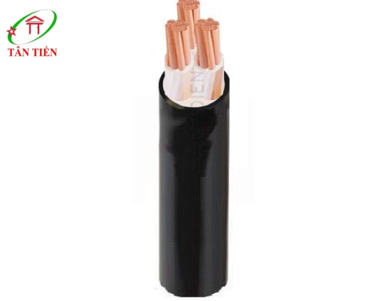 Dây cáp điện CXV 3x16 Cadivi  
