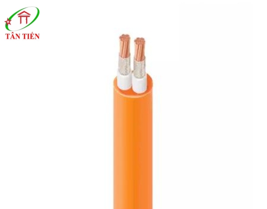 Dây cáp điện LION CXV/FRT 2X120 LION