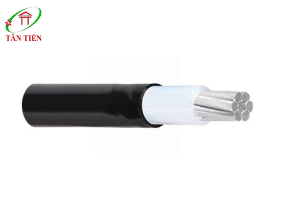 Dây cáp nhôm hạ thế Thăng Long AXV 16