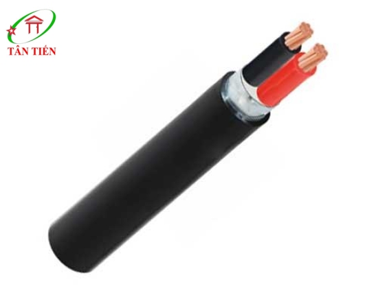 Dây cáp điện  CVV/DSTA-2x4 Cadivi 