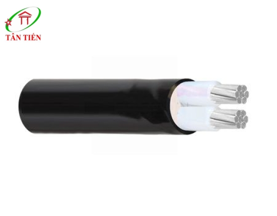 Dây cáp nhôm hạ thế Thăng Long AXV 2X16