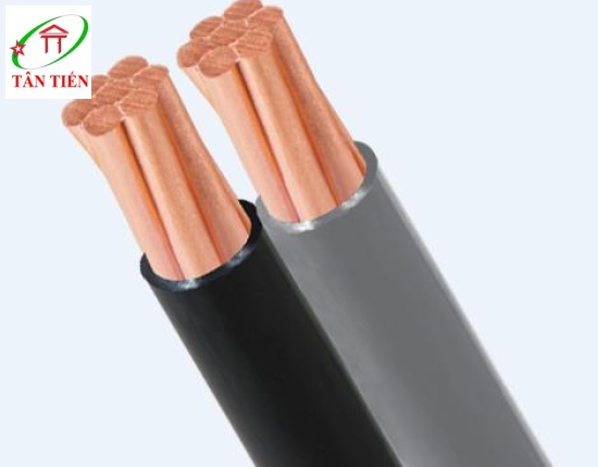 Cáp Duplex 0.6/1KV TLC - Cáp  DuCV - 2x6 TLC Cable Thăng long