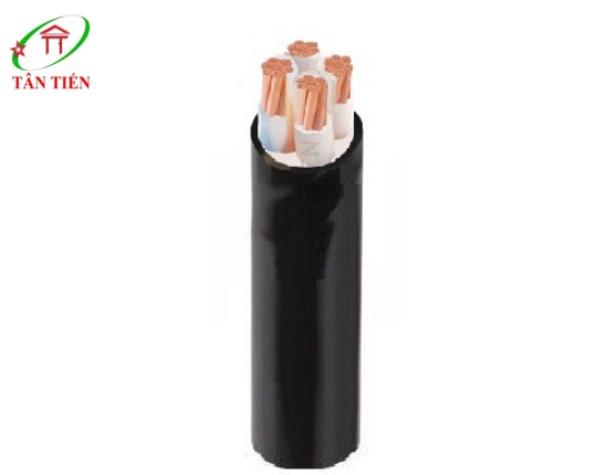 Dây cáp điện CXV/DSTA 4x50 Cadivi