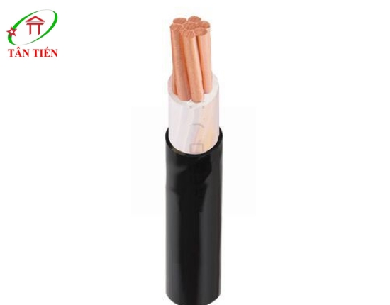 Dây cáp điện CXV 25 Cadivi