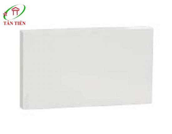 MẶT CHE TRƠN AVATARON A SCHNEIDER M3T01BP_WE