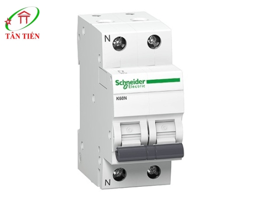 MCB 2P 63A 6kA Schneider A9K24263