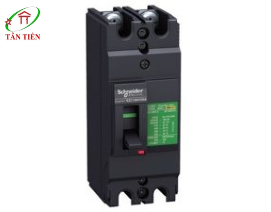 MCCB 2P 30A 50KA Schneider EZC100H2030