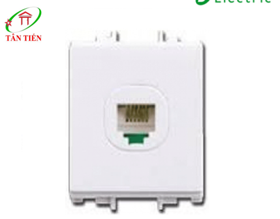 Ổ cắm mạng cat5e S-FLEXI SCHNEIDER F50RJ5EM_WE_G19
