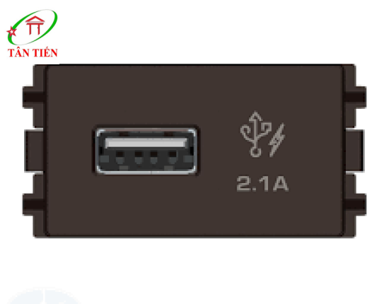Ổ sạc USB  Schneider 8431USB_BZ ZENcelo A