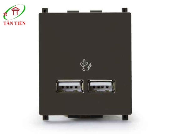 Ổ sạc USB  Schneider 8432USB_BZ ZENcelo A