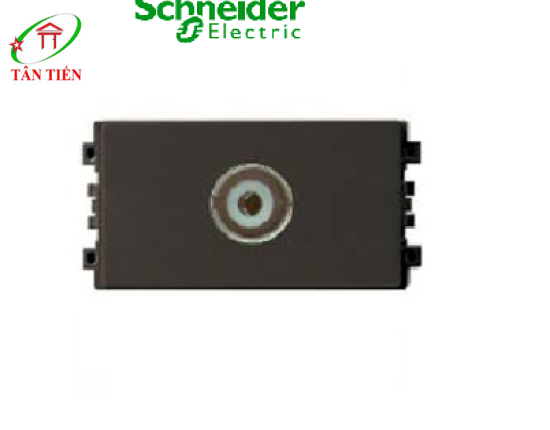 Ổ TV  Schneider 8431STV_BZ_G19 ZENcelo A