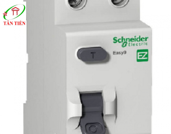 RCCB 2P 25A 4.5KA Schneider EZ9R36225