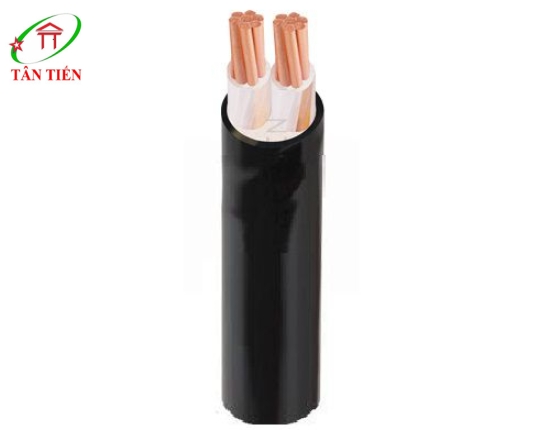 Dây cáp điện CXV 2x2.5 Cadivi