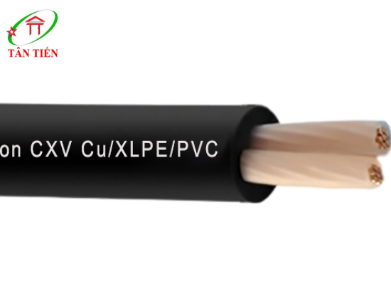 Dây cáp điện LION CXV 2X38 LION