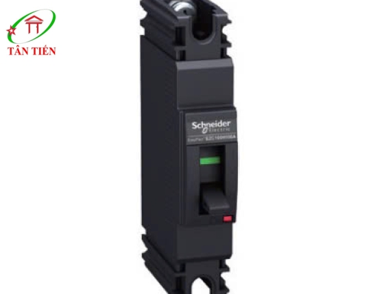 MCCB 1P 100A 18KA Schneider EZC100N1100